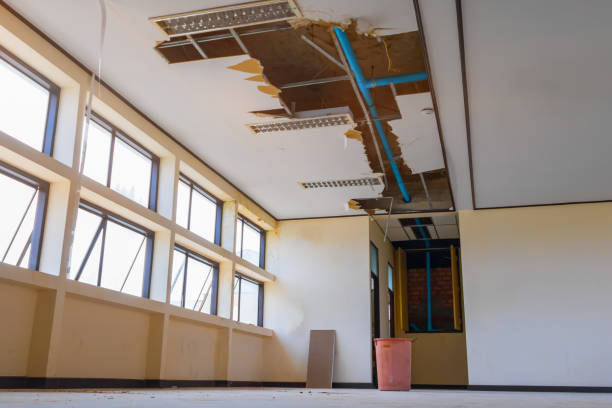 Best Commercial water damage restoration  in Rotonda, FL