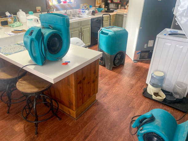 Best Water damage restoration near me  in Rotonda, FL