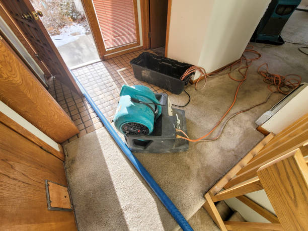 Best Water damage contractors near me  in Rotonda, FL