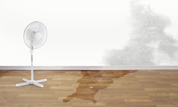 Reliable Rotonda, FL Water damage restoration Solutions