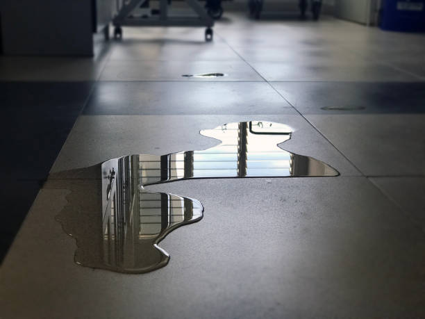 Best 24-hour water damage restoration  in Rotonda, FL