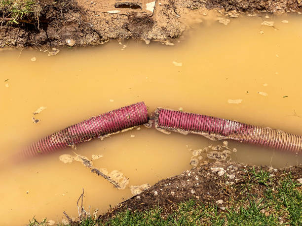Best Water damage restoration insurance claims  in Rotonda, FL