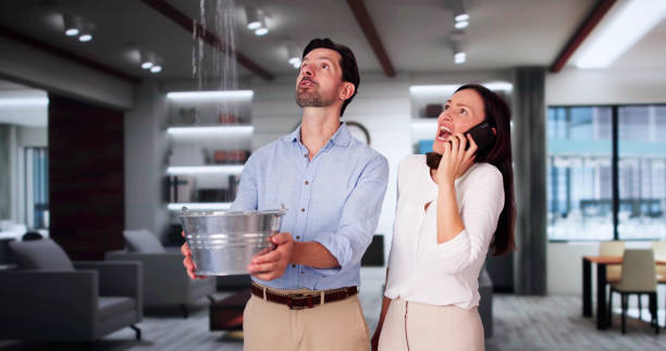 Best Flooded house restoration  in Rotonda, FL