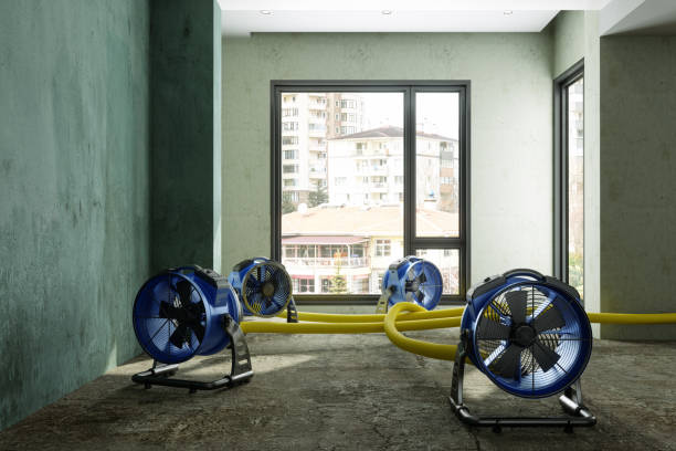 Best Fire Damage Restoration  in Rotonda, FL